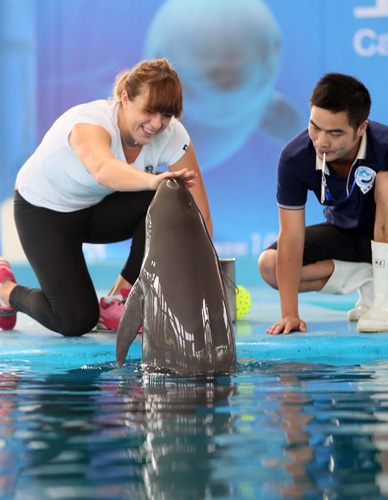 与技术实力 与技术实力