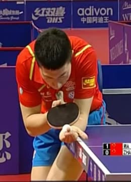 显著提升 显著提升