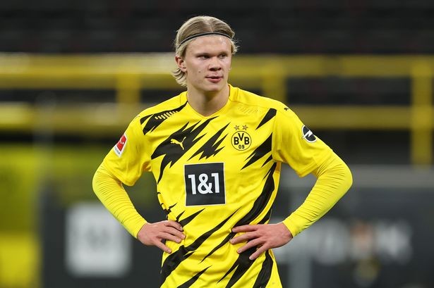 提拔新人积 提拔新人积